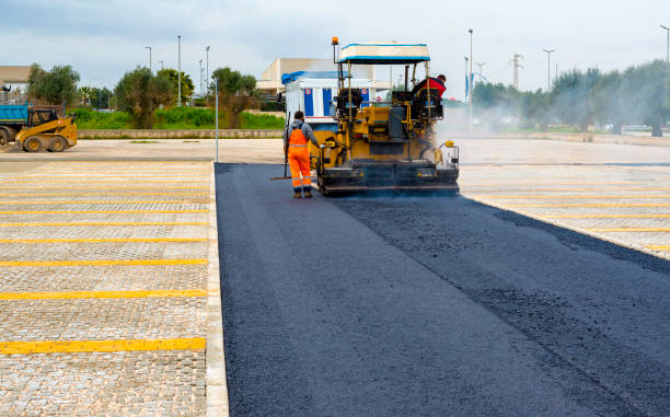 Best Professional Driveway Pavers  in Plattsburgh West, NY